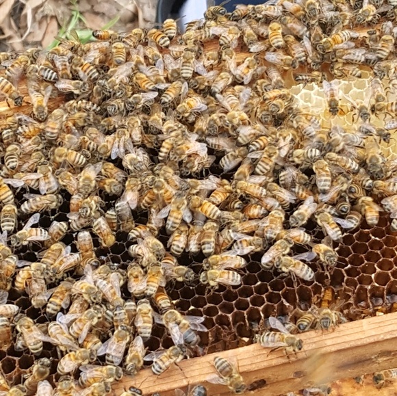 Meet your Posher, Hether - Picture 1 of 1